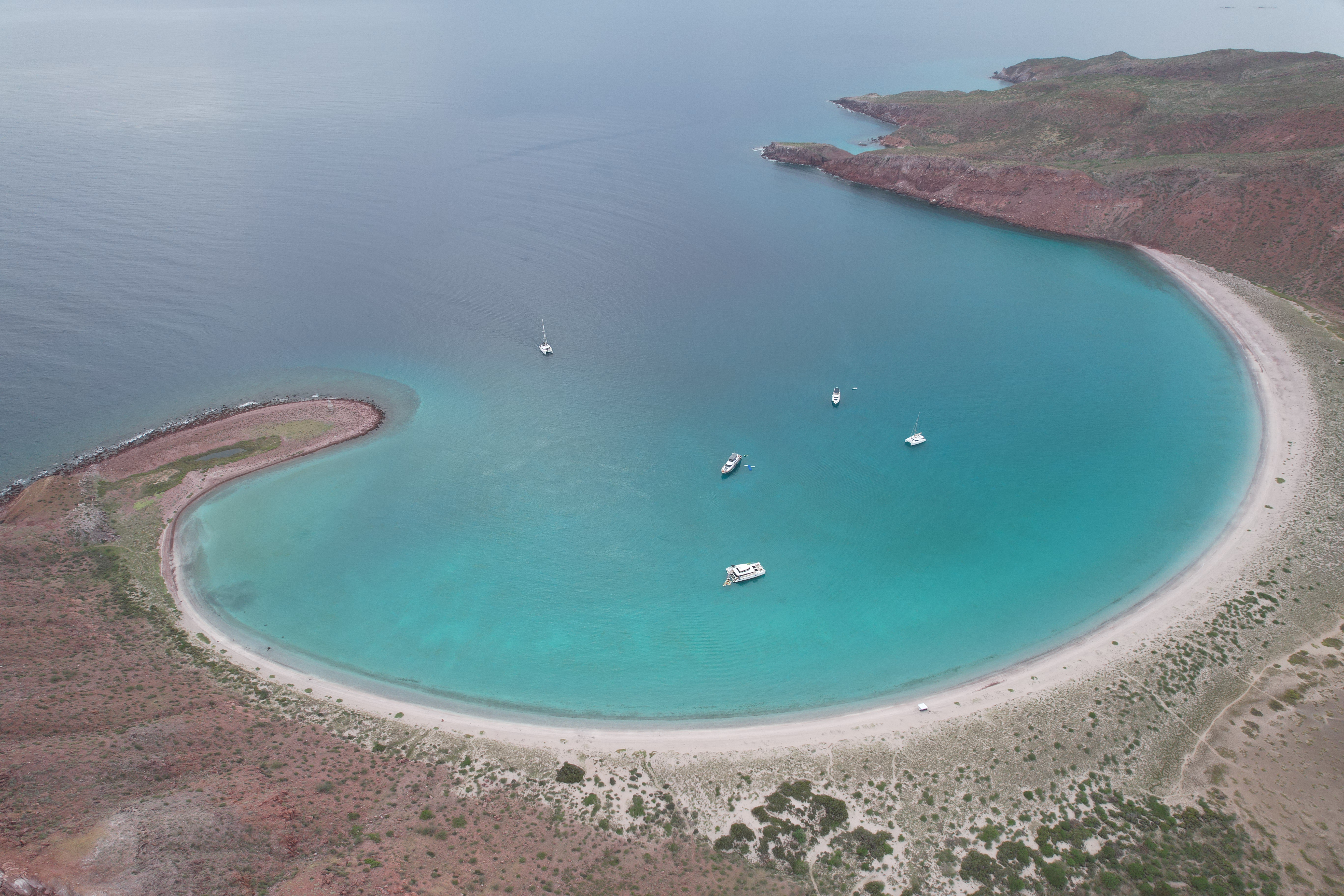 DON MOI swim platform